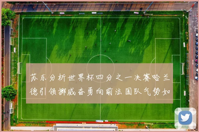 苏东分析世界杯四分之一决赛哈兰德引领挪威奋勇向前法国队气势如虹